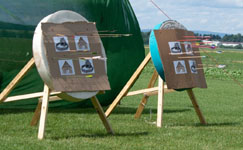 Group target.